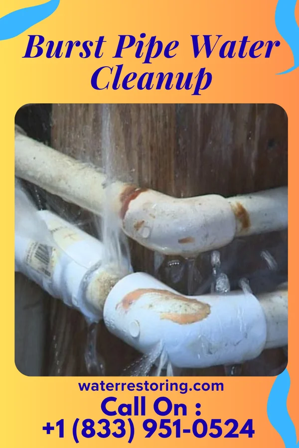 Burst Pipe Water Cleanup in Hinkleville, WV