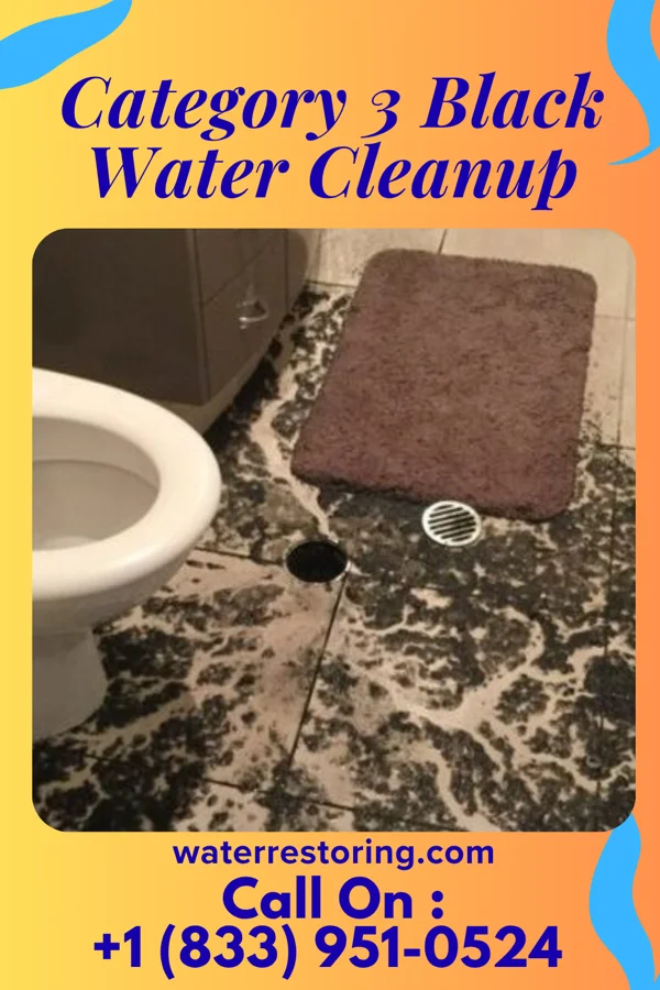 Category 3 Black Water Cleanup in Hinkleville, WV