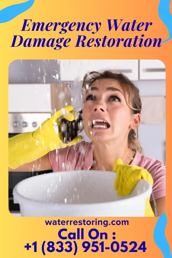 Emergency Water Damage Restoration in Hinkleville, WV