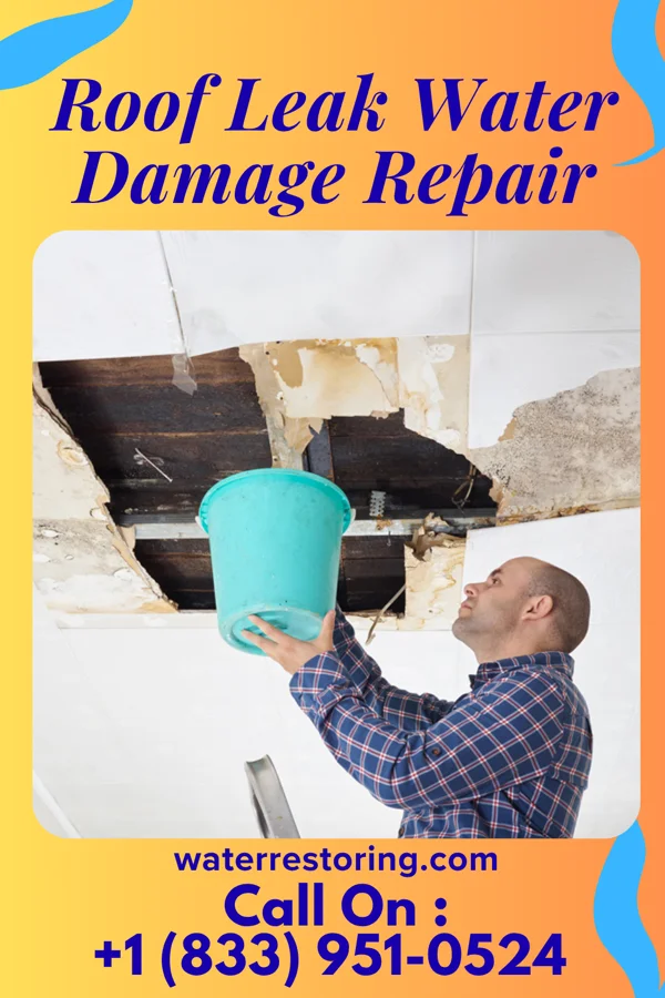 Roof Leak Water Damage Repair in Hinkleville, WV