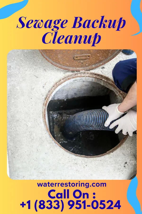 Sewage Backup Cleanup in Hinkleville, WV