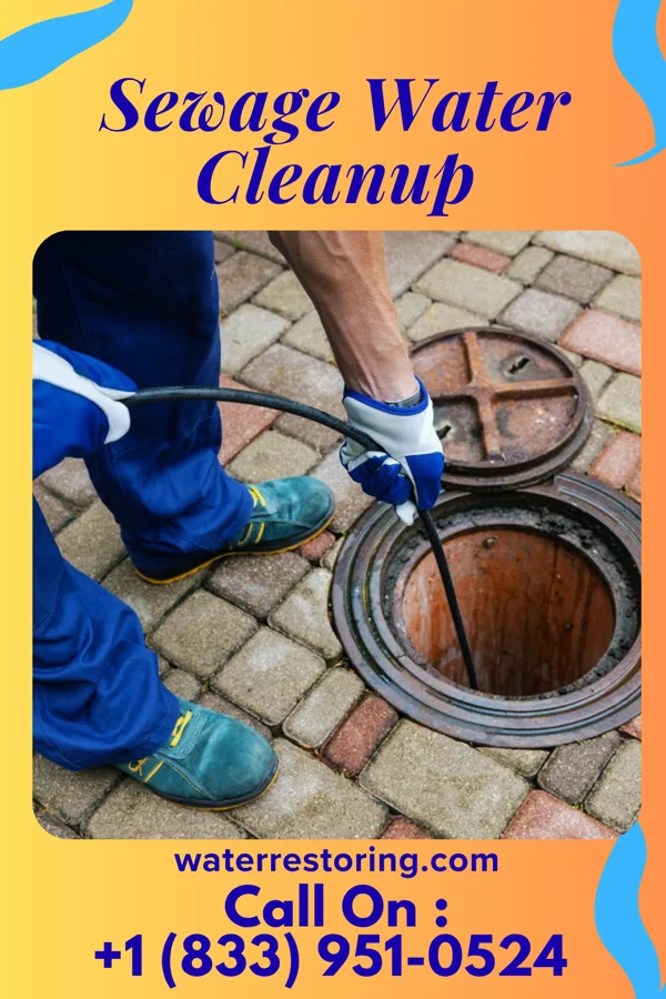 Sewage Water Cleanup in Hinkleville, WV