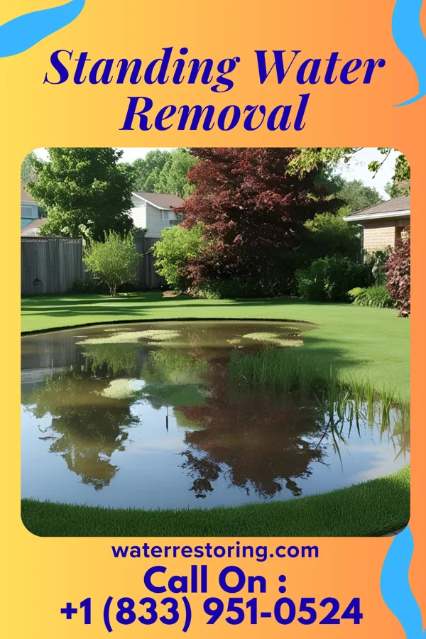 Standing Water Removal in Hinkleville, WV